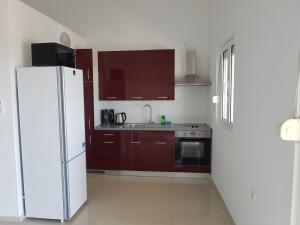 Kuchyň nebo kuchyňský kout v ubytování Elizabeta Apartments