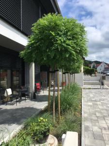 un árbol en un jardín frente a un edificio en Boutique Hotel Chalet Weinberg, en Würgau