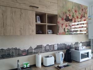 a kitchen with a counter top with a microwave at Viv Apartments 65 in Floreşti