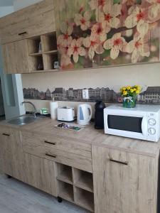 a kitchen counter with a microwave and a sink at Viv Apartments 65 in Floreşti