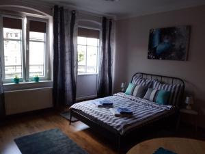 a bedroom with a bed and two windows at Traugutta apartment in Wrocław