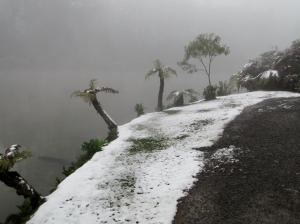 una colina cubierta de nieve con palmeras encima en Casa Ari Candiago Gramado, en Gramado