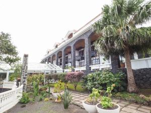 een gebouw met een bos planten ervoor bij Hotel La Palma Romántica in Barlovento