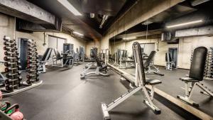Fitness centrum a/nebo fitness zařízení v ubytování A11 Apartments & SPA Dermique