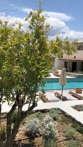 A piscina localizada em Mykonos Drops ou nos arredores