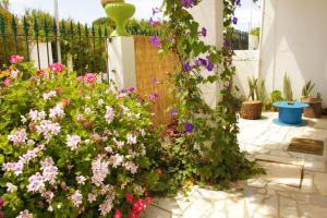 a garden with pink flowers and a fence at Natural Mystic Hostel in Costa da Caparica