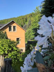 ケーニッヒスシュタイン・アン・デ・エルベにあるFuchsbauの手前の白い花々が咲く丘の上の家