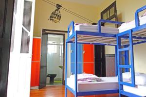 Zimmer mit 3 Etagenbetten in einem Zimmer in der Unterkunft Rio Forest Hostel in Rio de Janeiro