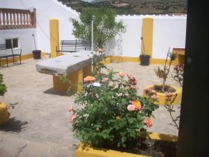 A garden outside Cortijo la Colá