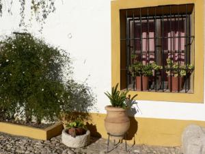 A garden outside Cortijo la Colá