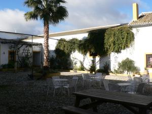 A garden outside Cortijo la Colá