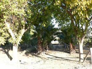 A garden outside Cortijo la Colá