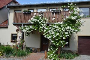 einem blühenden Baum vor einem Haus in der Unterkunft Ferienappartements "Landromantik" in Bautzen