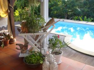 a patio with potted plants next to a swimming pool at La Case Dentelle in Le Diamant