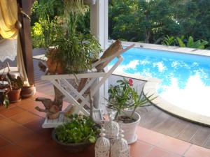 a patio with potted plants next to a swimming pool at La Case Dentelle in Le Diamant +3 photos