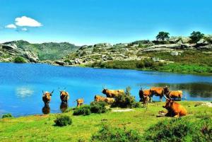 Galeriebild der Unterkunft A Cobiça do Mundo in Pincães