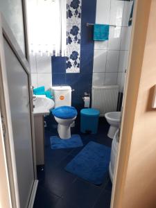 a bathroom with a toilet and a sink with blue mats at Casa Roman in Vişeu de Sus +66 photos