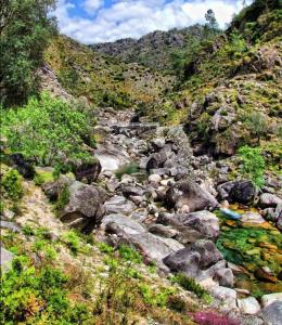 Galeriebild der Unterkunft A Cobiça do Mundo in Pincães