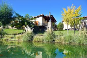 a house next to a body of water at Aguilas de Piedra in Cacheuta +16 photos