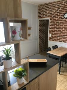 una cocina con una encimera con plantas. en SAINT MALO Appartement, en Saint-Malo