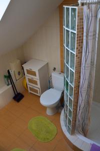 a small bathroom with a toilet and a sink at bliźniak-apartamenty in Rowy +24 photos