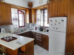 a kitchen with a white refrigerator and wooden cabinets at Liolio's Manor in Agalianós
