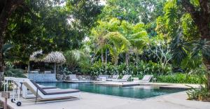 a pool with chaise lounge chairs and a bunch of trees at marAmar Bungalows by STH in Santa Teresa Beach