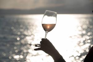 a person holding up a glass of wine at casabelvedere in Valeggio sul Mincio