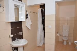 een badkamer met een wastafel en een toilet bij Apartman Ksenija in Banja Koviljača