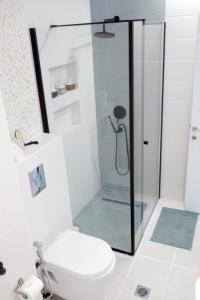 a bathroom with a glass shower with a toilet at Colours Seaview Apartment in Nea Artaki +14 photos