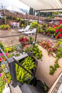 a garden shop with flowers and plants on the stairs at Casa De Leon in Antigua Guatemala