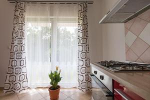 Kuchyň nebo kuchyňský kout v ubytování Apartment Zlatko
