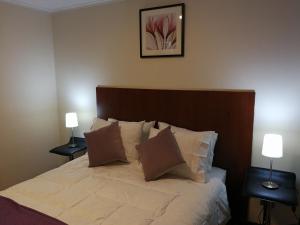 a bedroom with a bed with two lamps on both sides at Apartamentos Santiago Centro R&M in Santiago