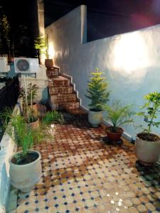 A garden outside Dar Hafsa