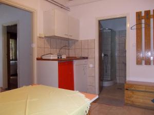 Kuchyň nebo kuchyňský kout v ubytování Puszta Hotel