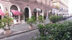 una calle con árboles en macetas frente a un edificio en H Serena srl en Roma