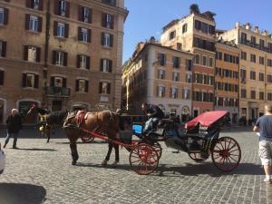 a horse pulling a carriage on a city street at VENETO COMFORTABLE Apartment in Rome