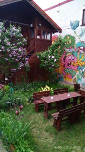 Elga´s Punk Rock Hostel外面的花园