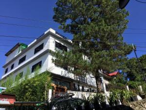 a white building with a tree in front of it at 2024 Baguio Apartments 1 in Baguio