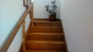 Fotografie z fotogalerie ubytování Apartment v Rabu