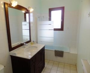 y baño con lavabo, espejo y bañera. en Le Clos Gentiane, en Saint-Étienne