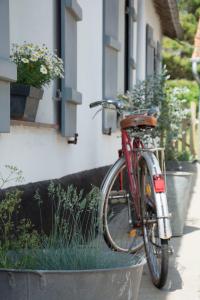 una bicicleta roja estacionada al lado de un edificio en Le Roi des Oiseaux - Gîte à la campagne, en Montcavrel