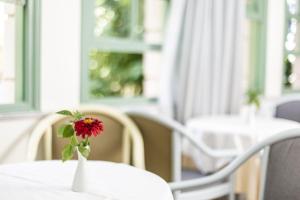 a red flower in a white vase on a table at Samaina Port Hotel in Karlovasi