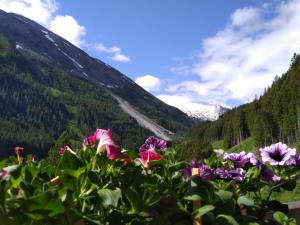 Paesaggio naturale nelle vicinanze del bed & breakfast