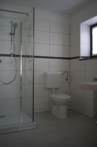 a bathroom with a toilet and a shower and a sink at Gästehaus Steiger in Bad Birnbach