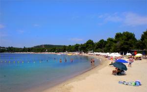 a group of people on a beach in the water at Apartments Villa L&M Skiathos in Skiathos