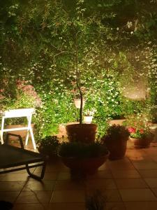 ナポリにあるB&B Michelangeloの鉢植えの植物とベンチ、木が植えられた庭園