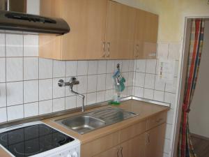 Kuchyň nebo kuchyňský kout v ubytování Ferienwohnung Falke
