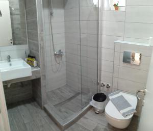 a bathroom with a shower and a toilet and a sink at Villa Riviera in Stavros