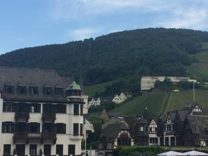 a town with a mountain in the background and a building at Haus am Weinberg in Rüdesheim am Rhein